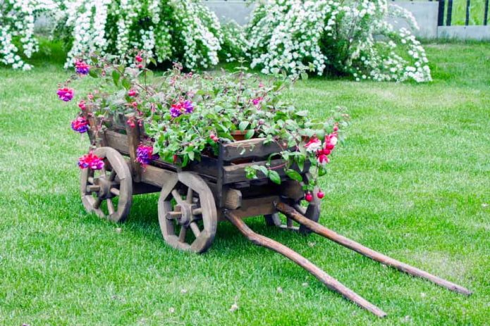 cart