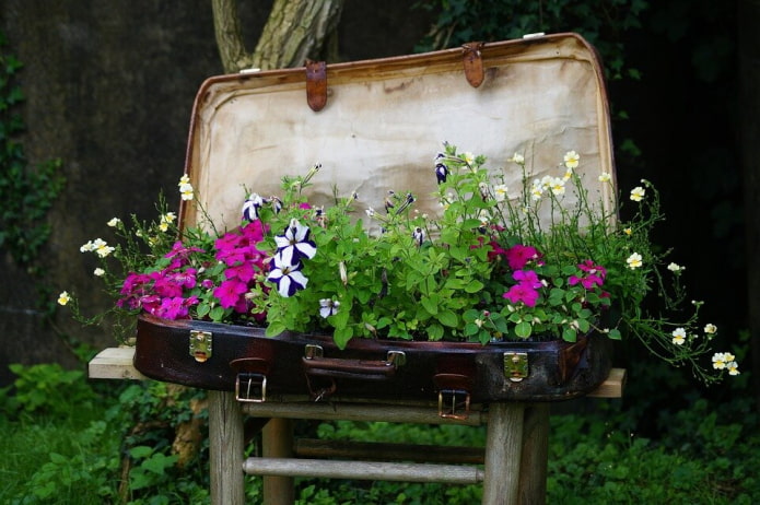 suitcase-flowerbed