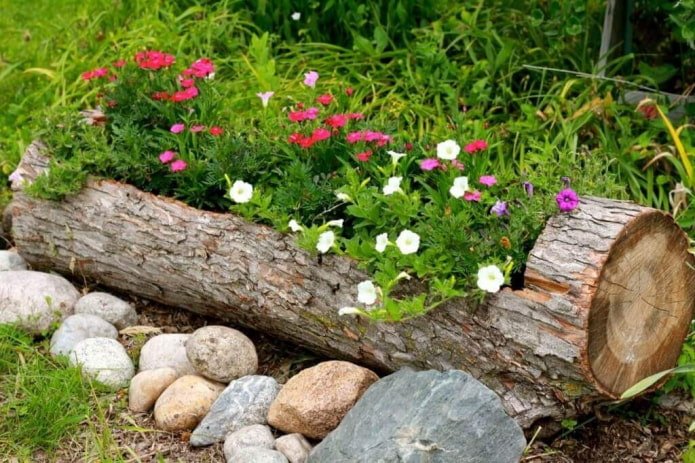 parterre de fleurs dans une bûche