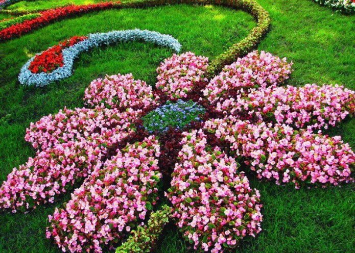 parterre figuré