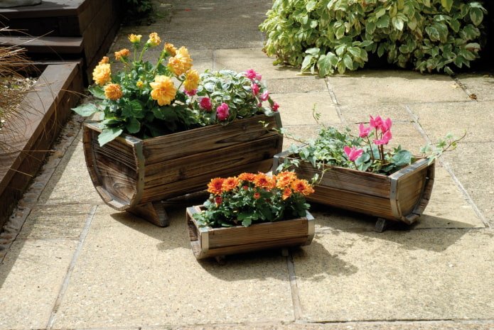 un parterre de fleurs dans un tonneau