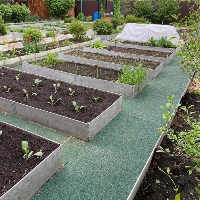 chemins d'un vieux tapis dans le potager