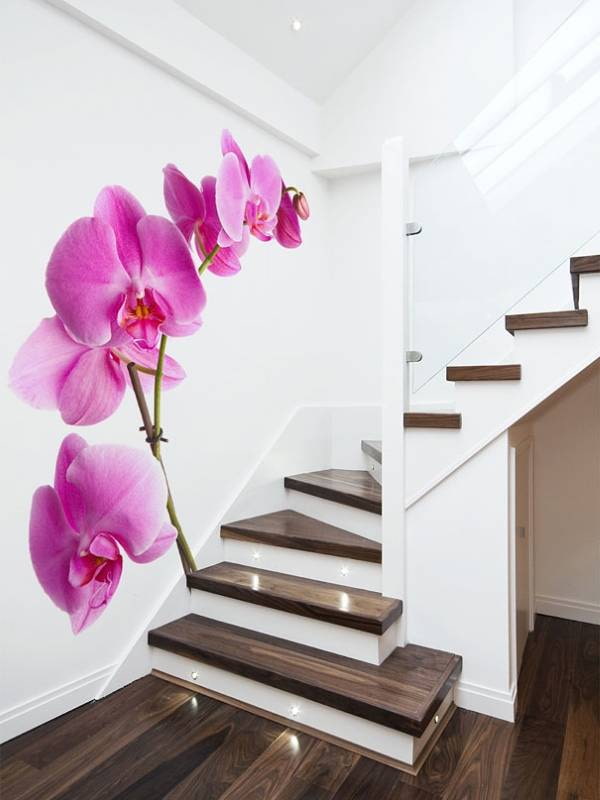 Papier peint photo avec orchidée