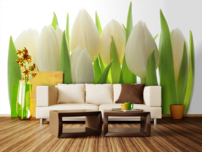 Papier peint photo avec des tulipes