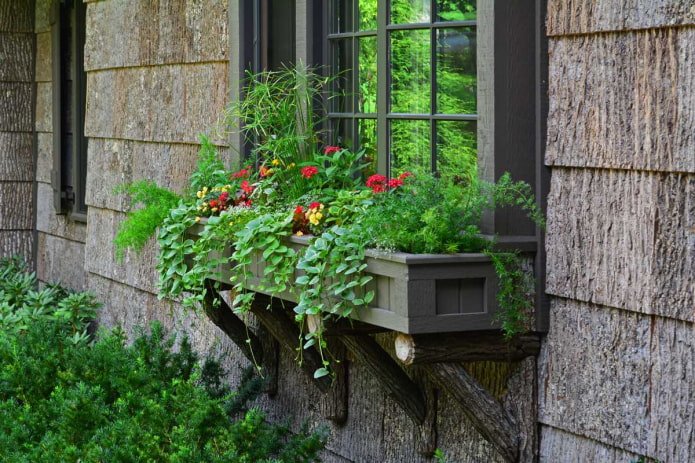 Jardinière