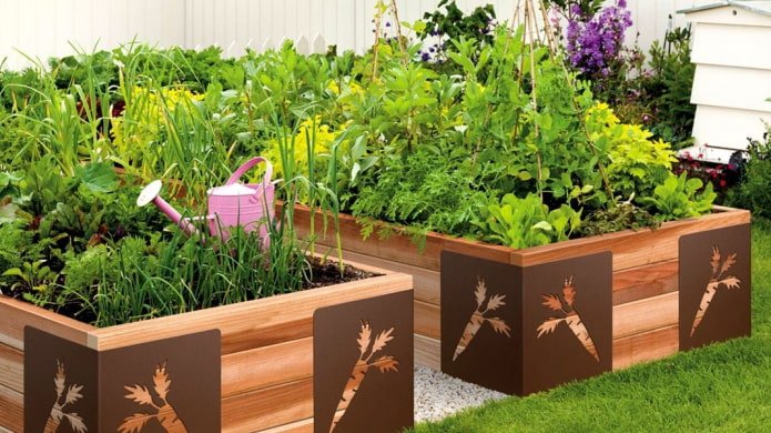 jardin