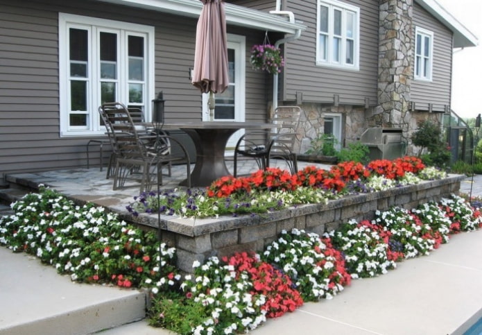 parterres de fleurs