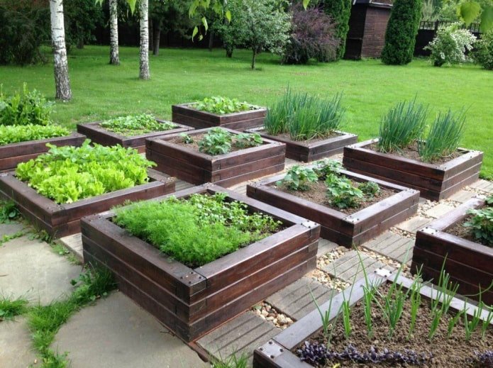 mini-jardin