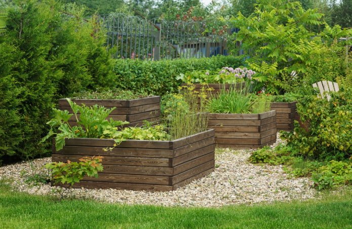 Un potager avec des plates-bandes surélevées