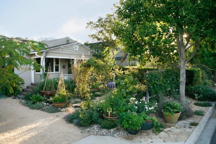 Potager dans le jardin de devant