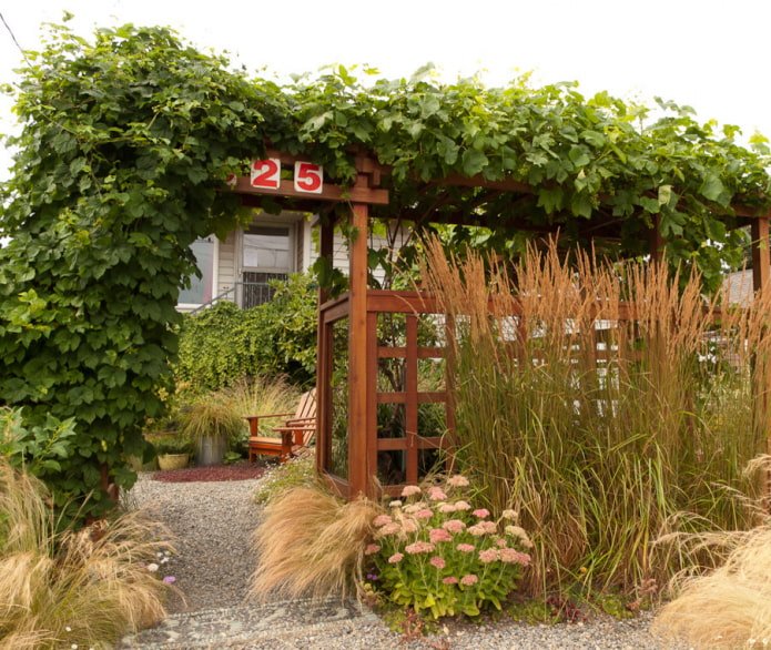 Jardin naturel
