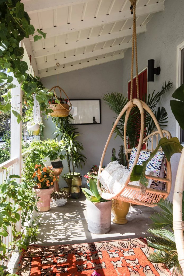 Plantes et chaise suspendue
