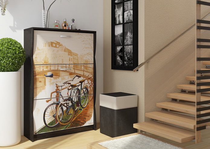 Meuble à chaussures avec photos dans un couloir