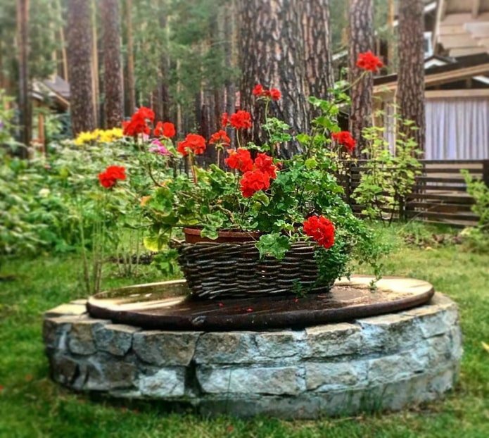panier de fleurs rouges sur une fosse septique