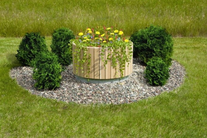parterre de fleurs avec bordure en bois sur Fosse septique