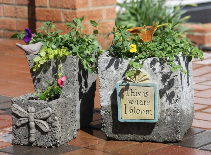 Pot de fleurs en boîte