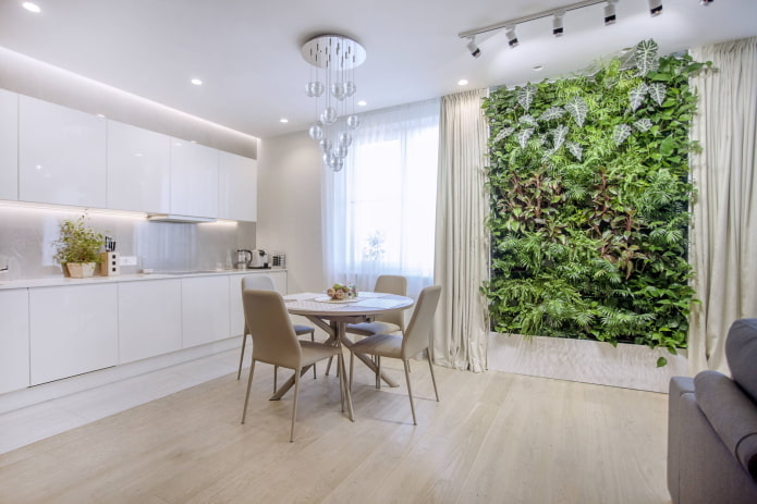Éclairage des plantes