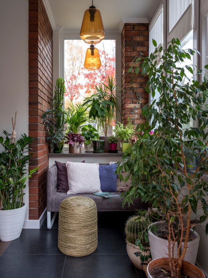 Plantes d'intérieur et brique rouge
