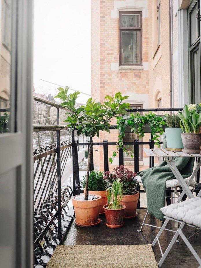 fleurs sur la loggia ouverte