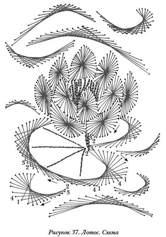 motif lotus