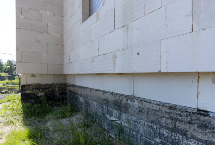 bloc de mousse sur le mur d'un immeuble d'appartements