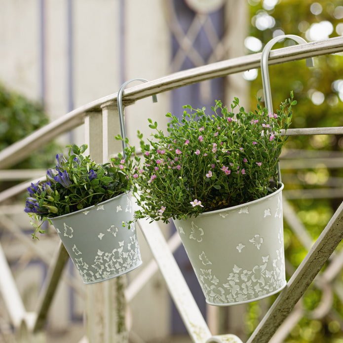 pots de fleurs suspendus à des seaux