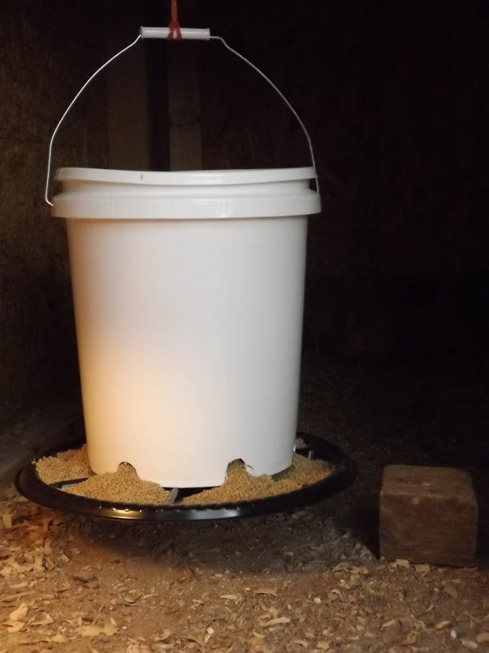 Mangeoire pour volailles dans un seau en plastique