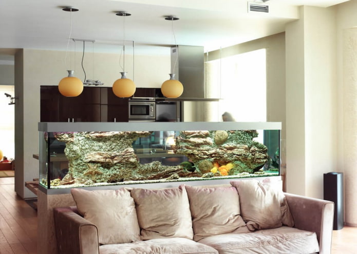 cloison avec aquarium à l'intérieur de la cuisine-salon