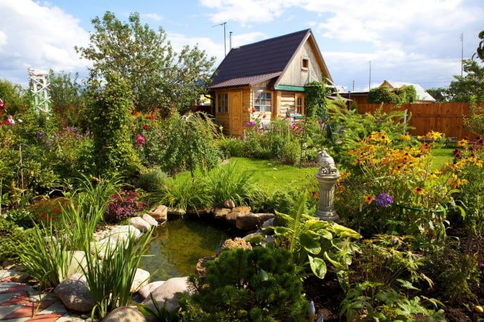 étang sur un chalet d'été