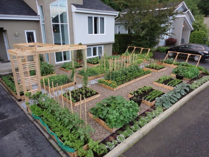 potager soigné près de la maison