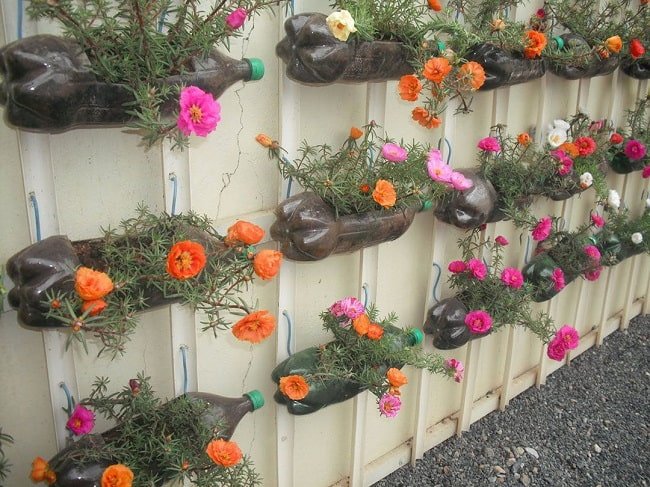 parterres de fleurs à partir de bouteilles sur une clôture