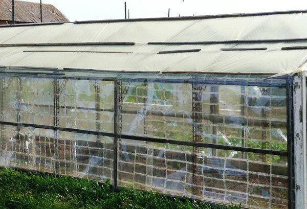 greenhouse