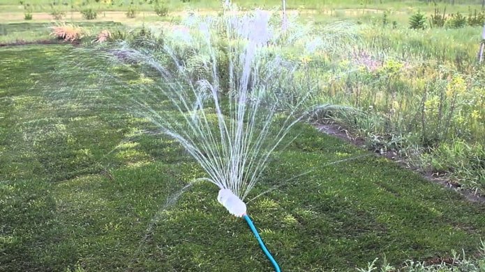 sprayer
