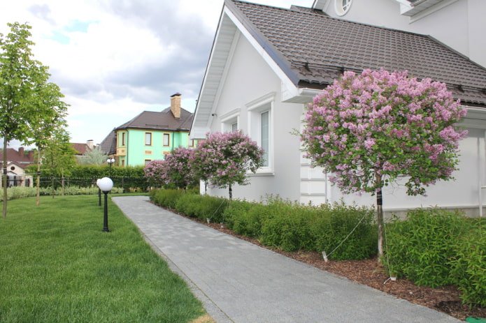 Liste de lilas