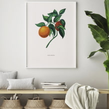 Comment décorer les murs avec des posters ?-5