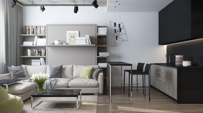 Design moderne d'un salon et d'une cuisine dans un studio