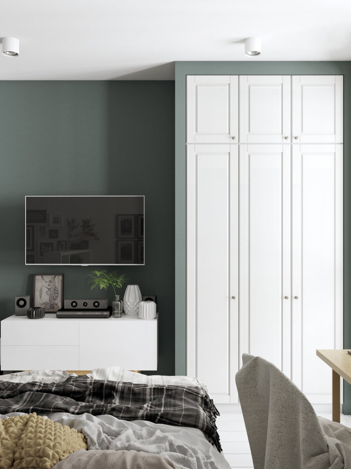 Espace TV et armoire