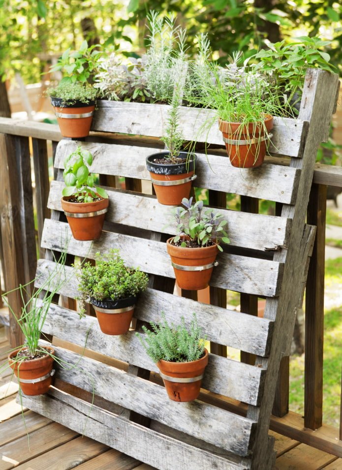 Pots sur une palette