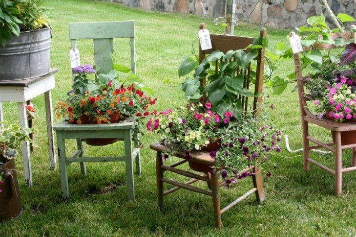 Fleurs dans des chaises