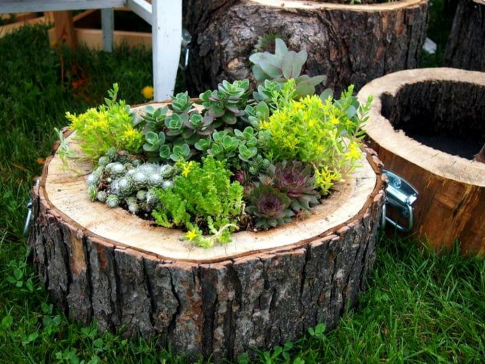  Parterre de fleurs à partir d'une souche d'arbre