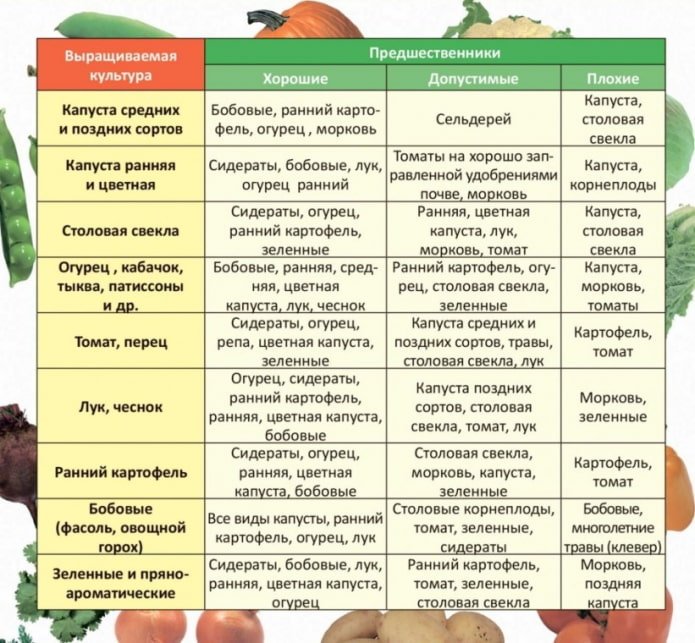 tableau de rotation des cultures