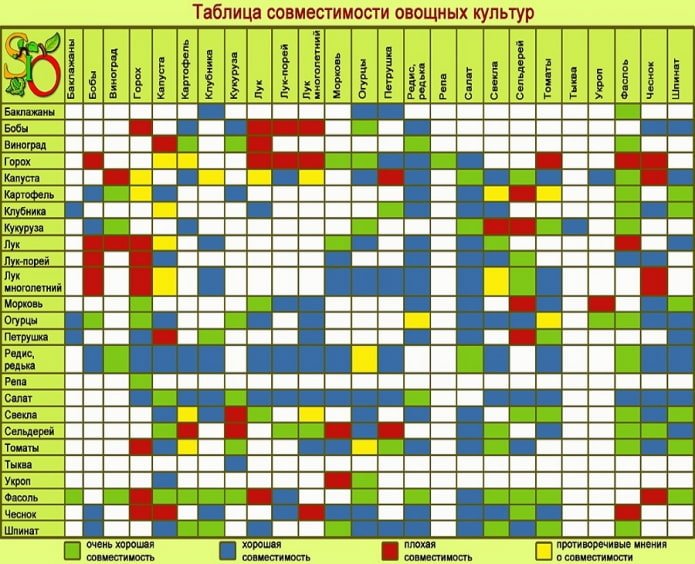 tableau de compatibilité des cultures