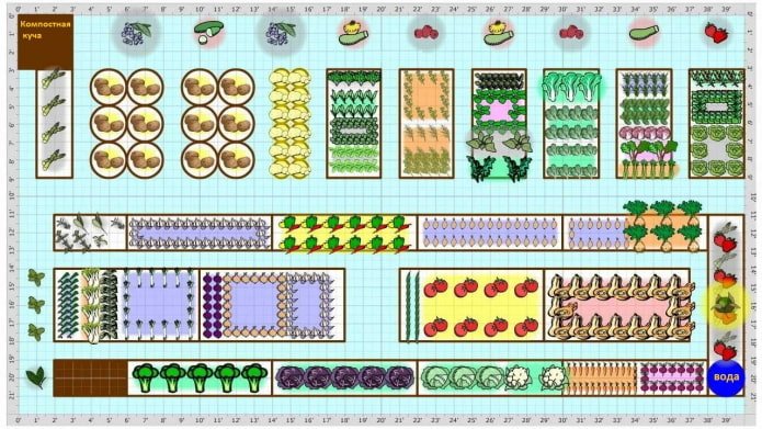 plan de jardin