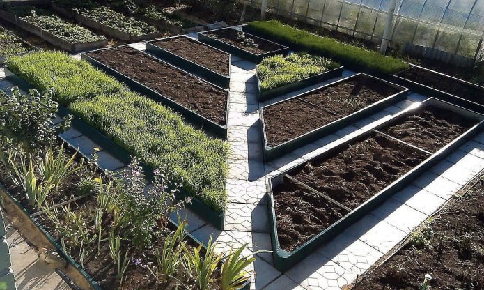 chemin diagonal dans le jardin