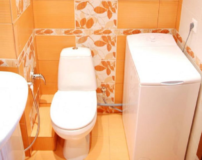 Salle de bain étroite avec une machine à laver