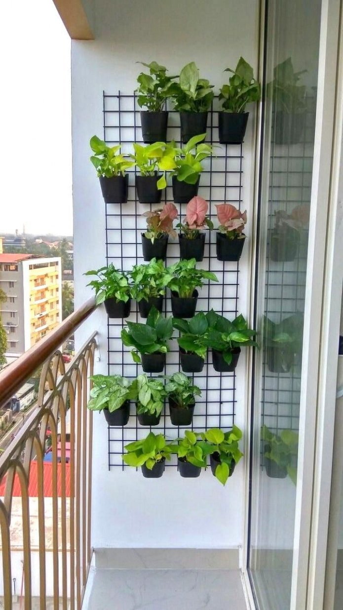 Pots sur un treillis