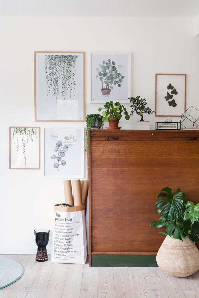 Plantes et tableaux