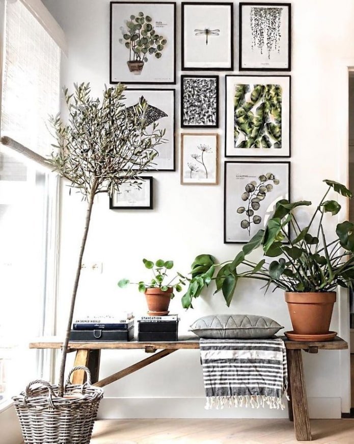 Fleurs et posters