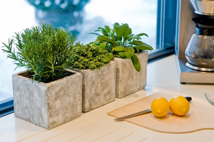 herbes aromatiques en cuisine