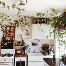 Quelles plantes peuvent être utilisées en cuisine ?-3